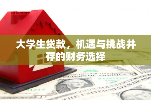 西平大学生贷款，机遇与挑战并存的财务选择