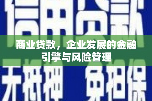 西平商业贷款，企业发展的金融引擎与风险管理