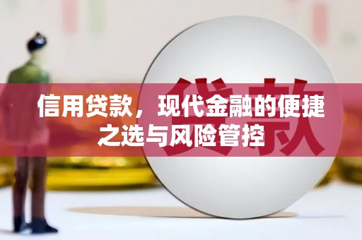西平信用贷款，现代金融的便捷之选与风险管控