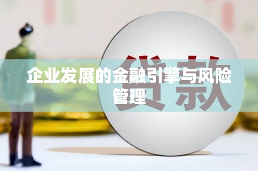 西平企业发展的金融引擎与风险管理