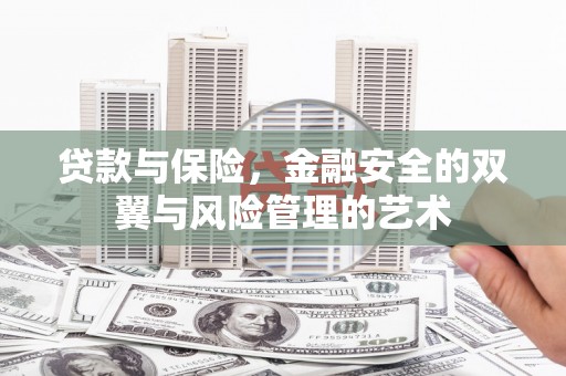 西平贷款与保险，金融安全的双翼与风险管理的艺术