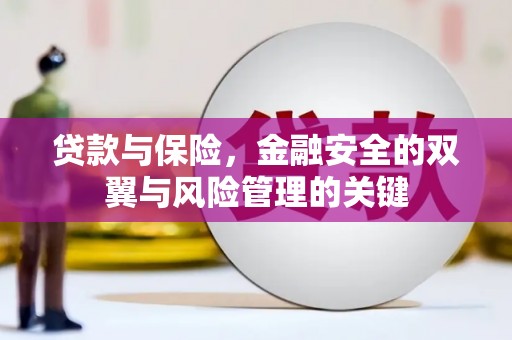 西平贷款与保险，金融安全的双翼与风险管理的关键