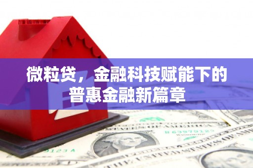 西平微粒贷，金融科技赋能下的普惠金融新篇章