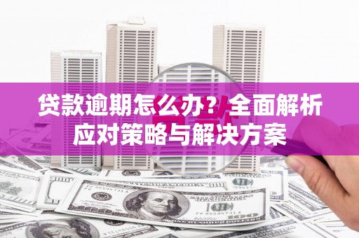 西平贷款逾期怎么办？全面解析应对策略与解决方案