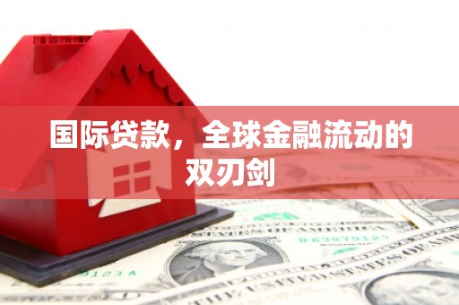西平国际贷款，全球金融流动的双刃剑