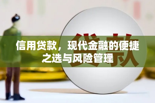 西平信用贷款，现代金融的便捷之选与风险管理