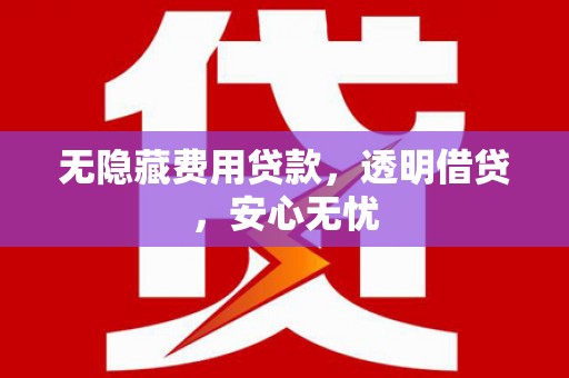 西平无隐藏费用贷款，透明借贷，安心无忧