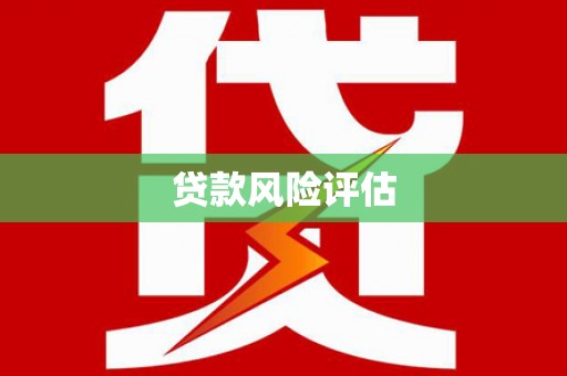 西平贷款风险评估