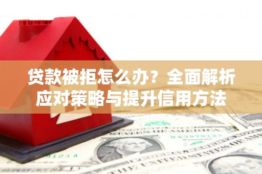 西平贷款被拒怎么办？全面解析应对策略与提升信用方法
