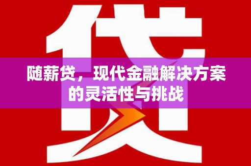 西平随薪贷，现代金融解决方案的灵活性与挑战