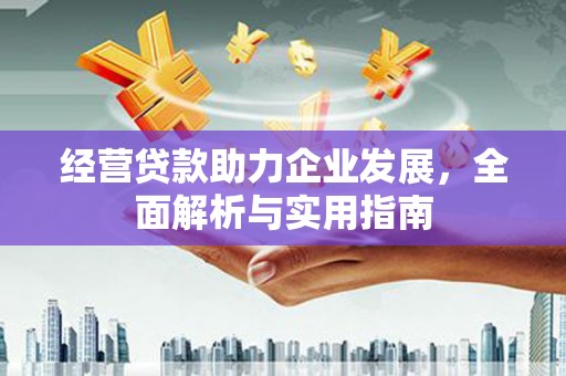 西平经营贷款助力企业发展，全面解析与实用指南