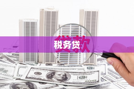 西平税务贷
