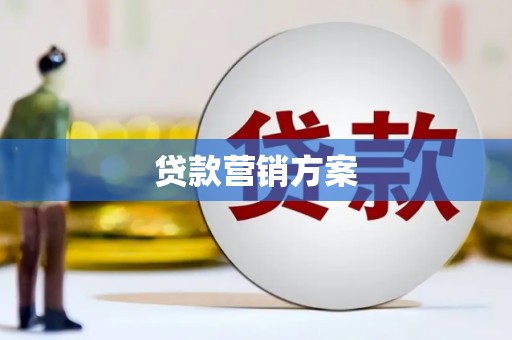 西平贷款营销方案