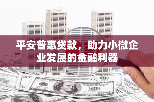 西平平安普惠贷款，助力小微企业发展的金融利器