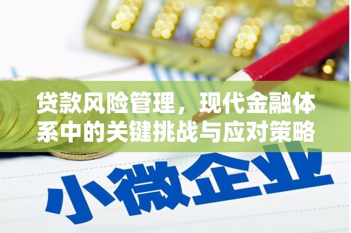西平贷款风险管理，现代金融体系中的关键挑战与应对策略