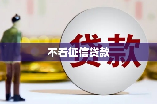 西平不看征信贷款