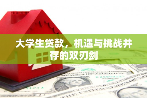 西平大学生贷款，机遇与挑战并存的双刃剑