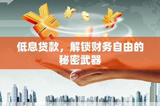 西平低息贷款，解锁财务自由的秘密武器