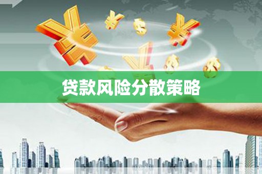 西平贷款风险分散策略