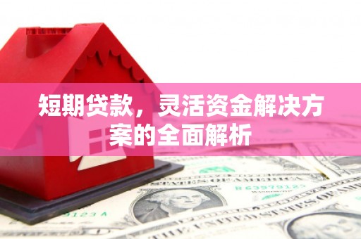 西平短期贷款，灵活资金解决方案的全面解析