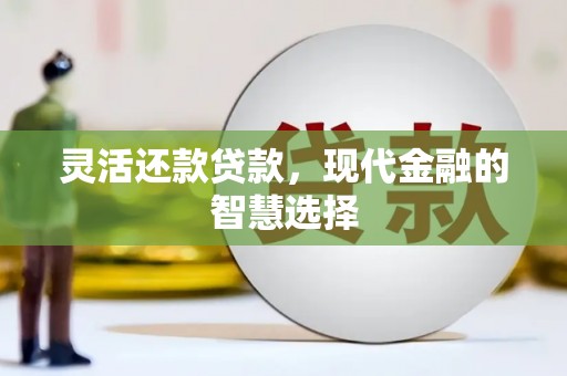 西平灵活还款贷款，现代金融的智慧选择