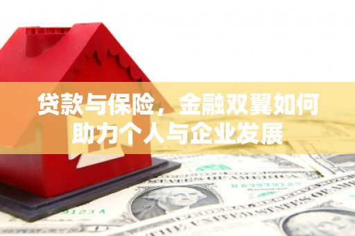 西平贷款与保险，金融双翼如何助力个人与企业发展
