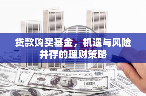 西平贷款购买基金，机遇与风险并存的理财策略
