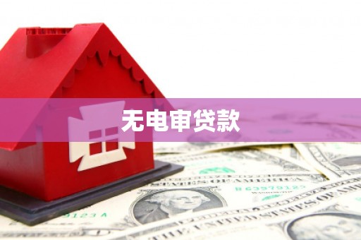 西平无电审贷款