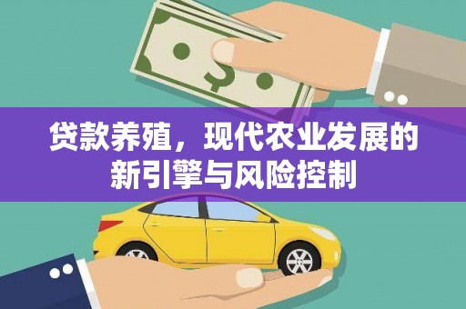 西平贷款养殖，现代农业发展的新引擎与风险控制
