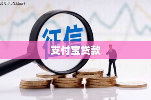 西平支付宝贷款