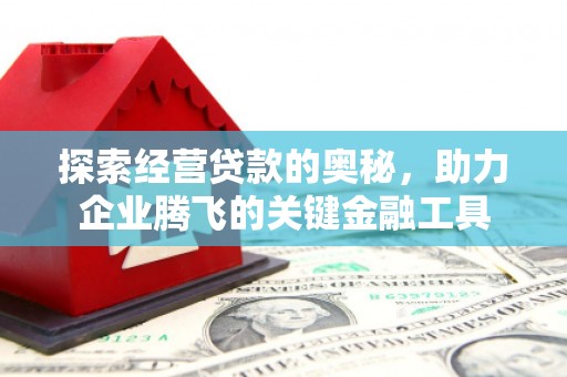 西平探索经营贷款的奥秘，助力企业腾飞的关键金融工具