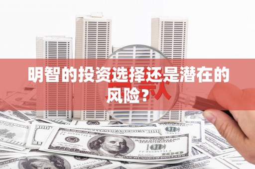 西平明智的投资选择还是潜在的风险？
