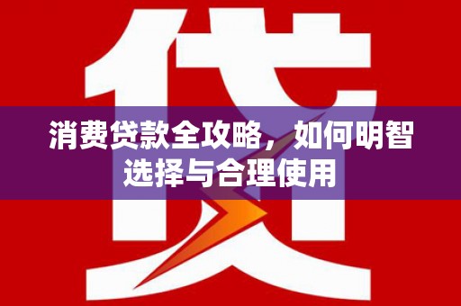 西平消费贷款全攻略，如何明智选择与合理使用