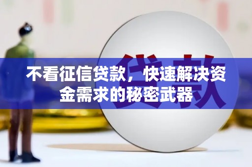 西平不看征信贷款，快速解决资金需求的秘密武器