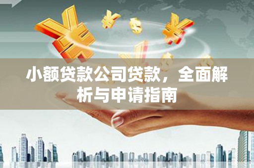 西平小额贷款公司贷款，全面解析与申请指南