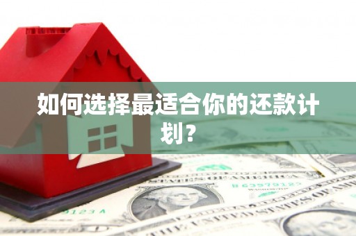 西平如何选择最适合你的还款计划？