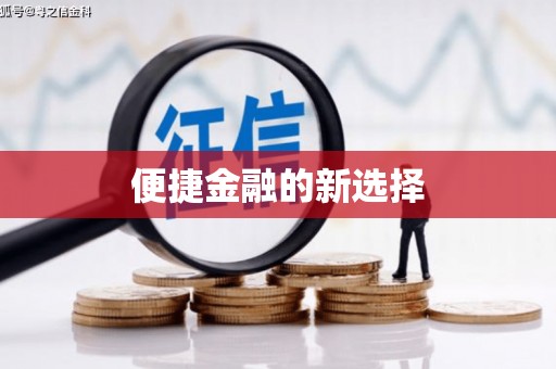 西平便捷金融的新选择