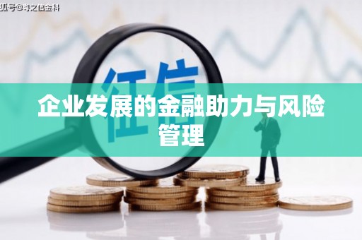 西平企业发展的金融助力与风险管理