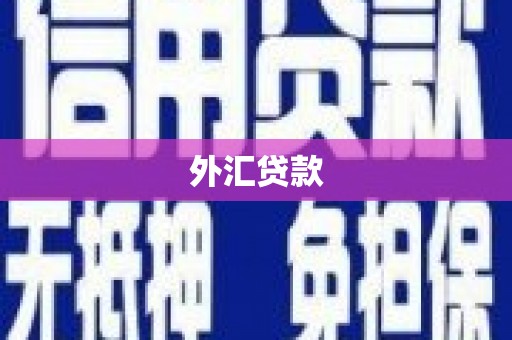 西平外汇贷款