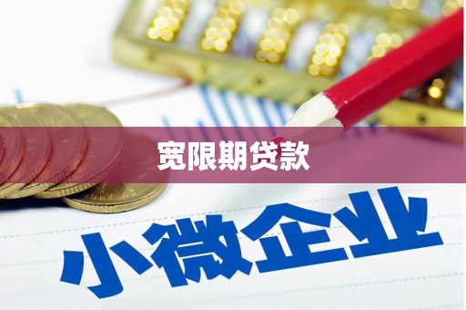 西平宽限期贷款