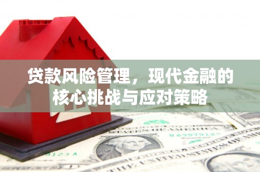 西平贷款风险管理，现代金融的核心挑战与应对策略