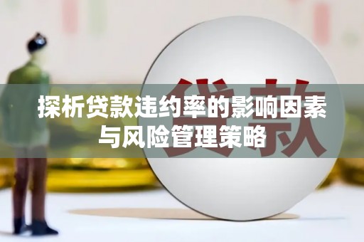 西平探析贷款违约率的影响因素与风险管理策略