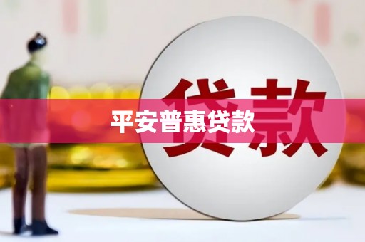 西平平安普惠贷款