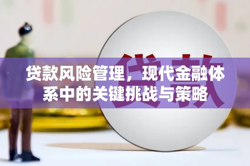 西平贷款风险管理，现代金融体系中的关键挑战与策略