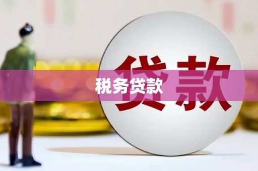 西平税务贷款