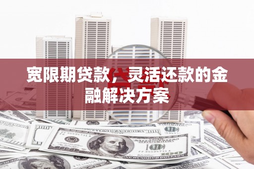 西平宽限期贷款，灵活还款的金融解决方案