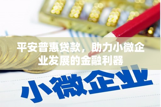 西平平安普惠贷款，助力小微企业发展的金融利器