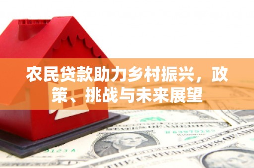 西平农民贷款助力乡村振兴，政策、挑战与未来展望
