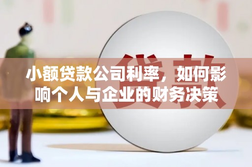 西平小额贷款公司利率，如何影响个人与企业的财务决策