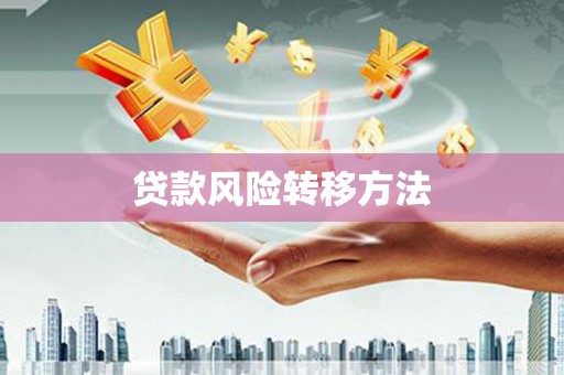 西平贷款风险转移方法